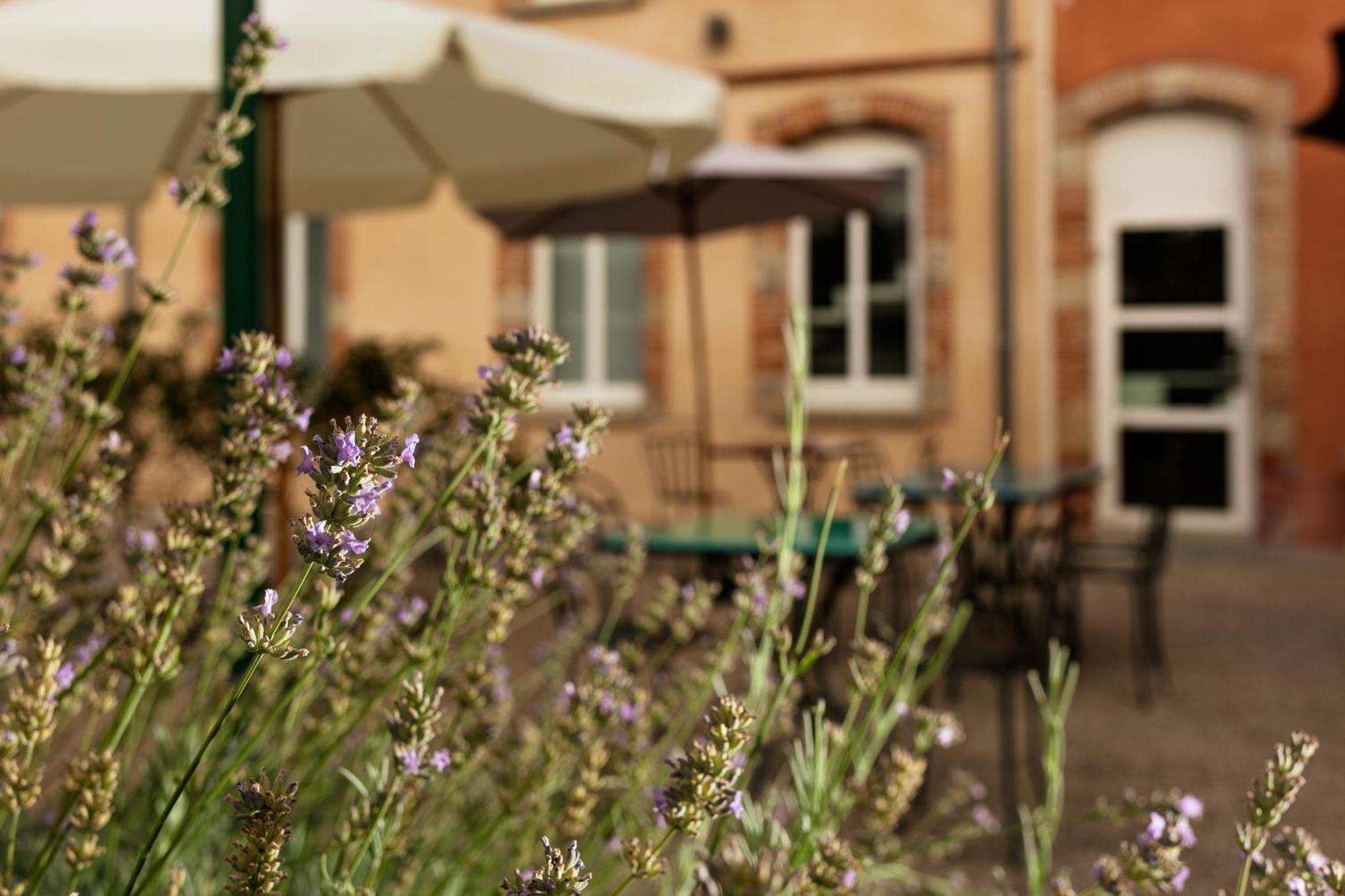 Ibis Styles Toulouse Lavaur Hotel Exterior photo